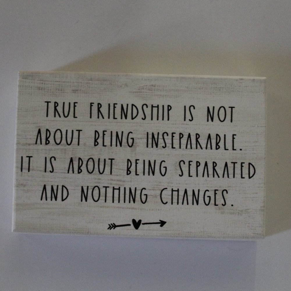 Sincere Surroundings “True Friendship” Wooden Block Sign